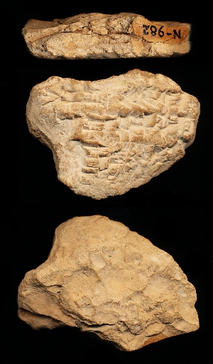 N982