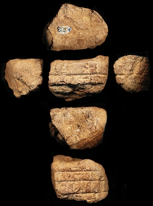 N988