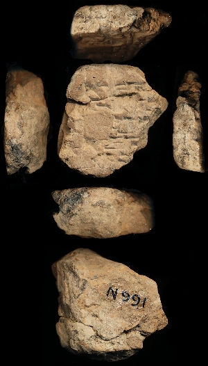 N991