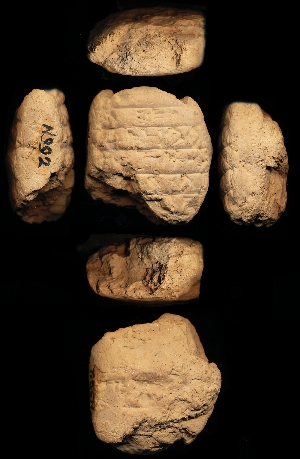 N992