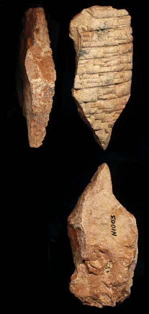 N1003