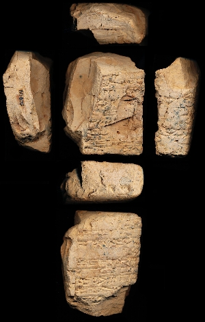 N1005