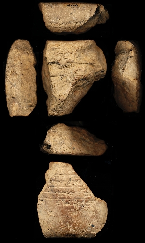 N1016