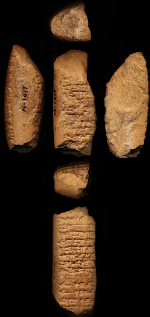 N1017