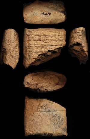 N1020