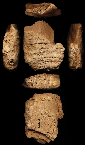 N1022