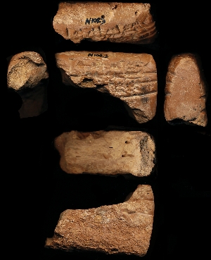 N1023
