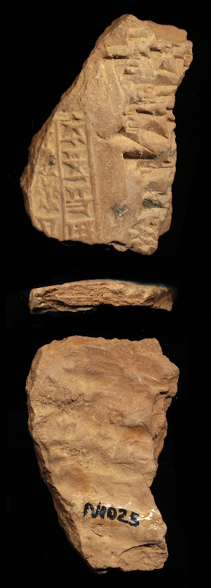 N1025