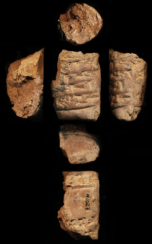 N1027