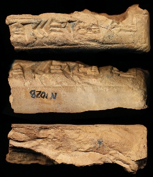 N1028