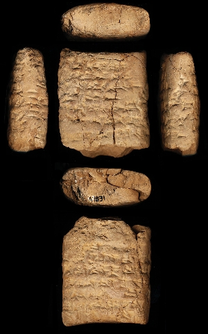 N1031