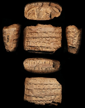 N1032