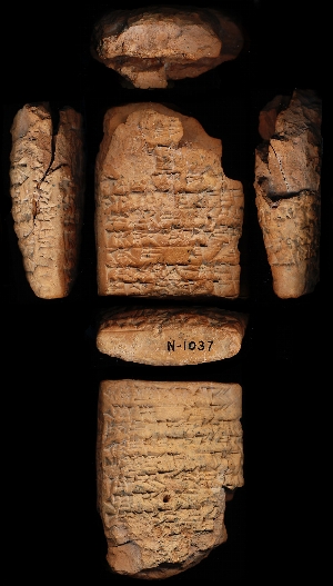 N1037