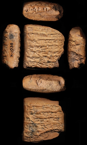 N1038