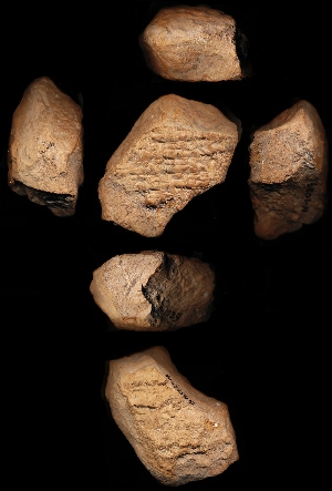 N1039