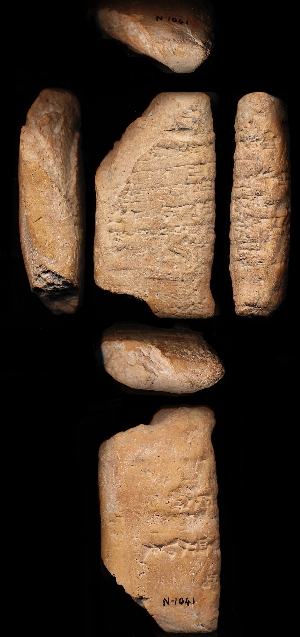 N1041