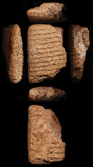 N1043