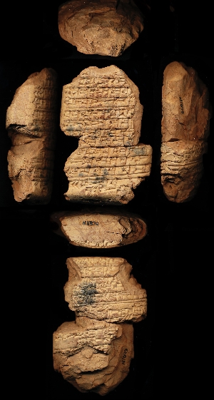N1049