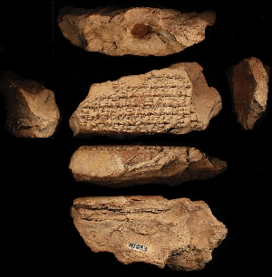 N1053
