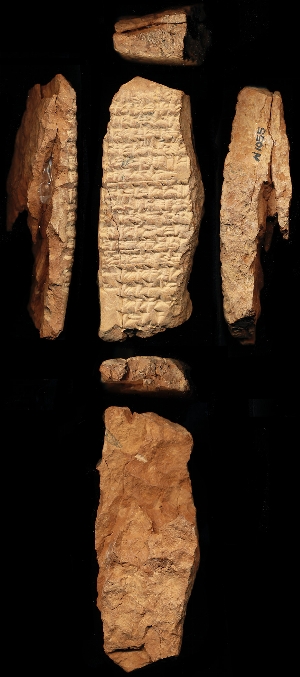 N1055