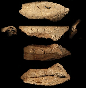 N1057