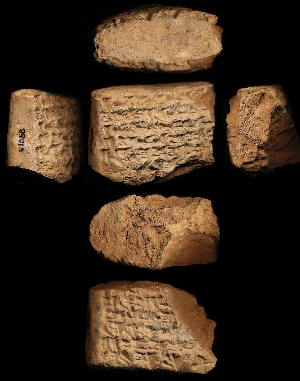 N1058