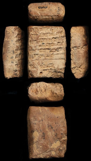 N1059