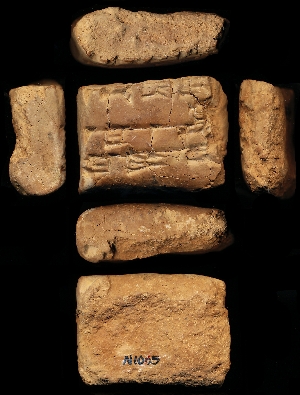 N1065