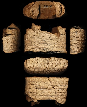 N1066