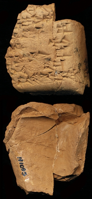 N1095