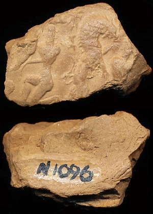 N1096