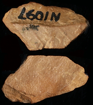 N1097