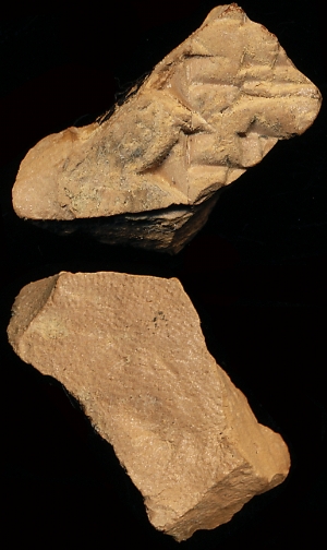 N1098