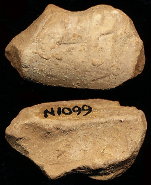 N1099
