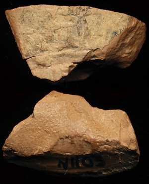 N1103