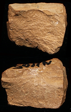 804774