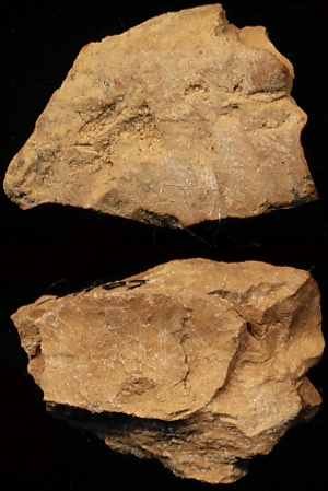 N1107