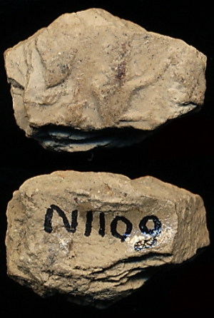 N1109