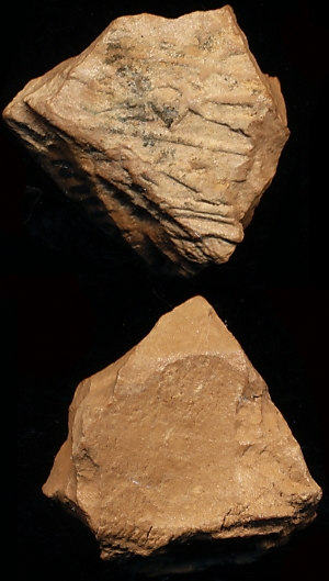N1110