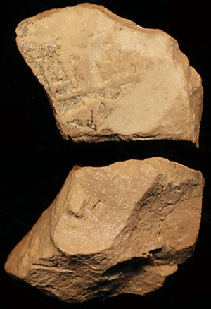 N1111