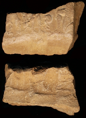 N1112