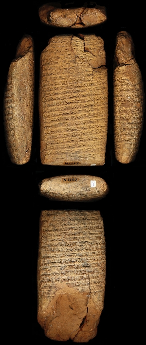 N1117