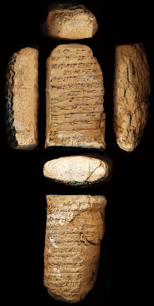 N1118