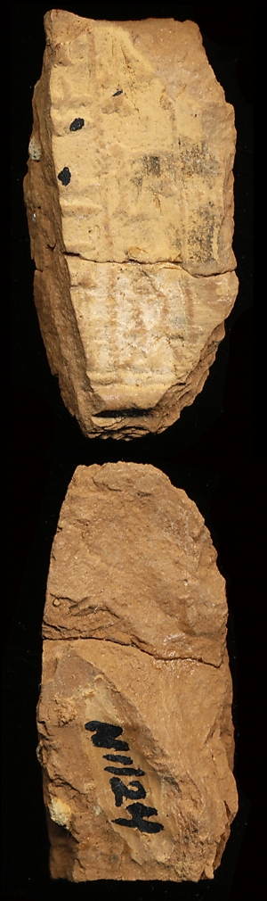 N1124