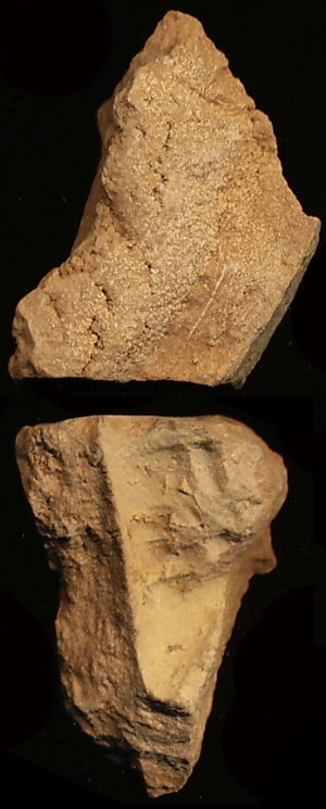 N1126