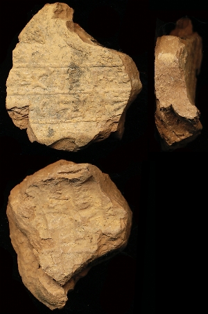 N1127