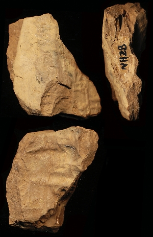 N1128