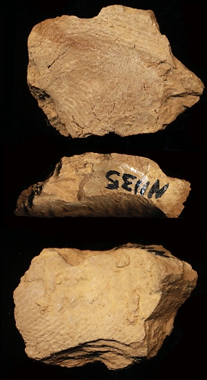 N1135
