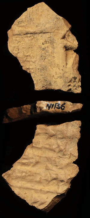 N1136