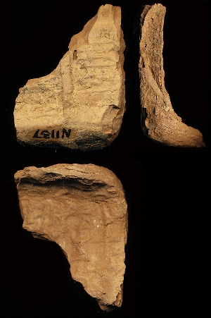 N1137